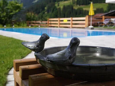 Sommerbilder Bild 43